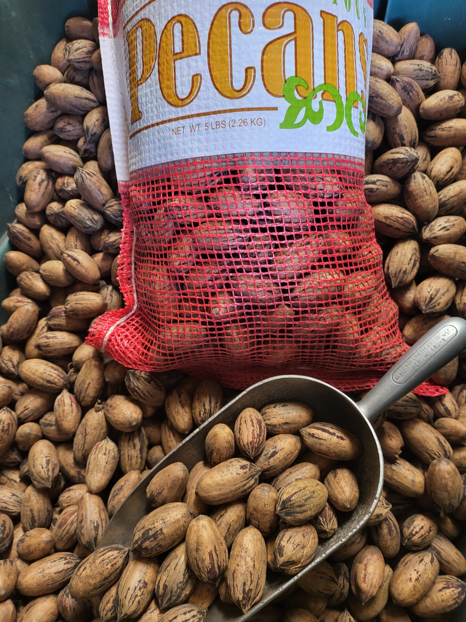 In-Shell Pecans 5LB