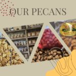 In-Shell Pecans 5LB